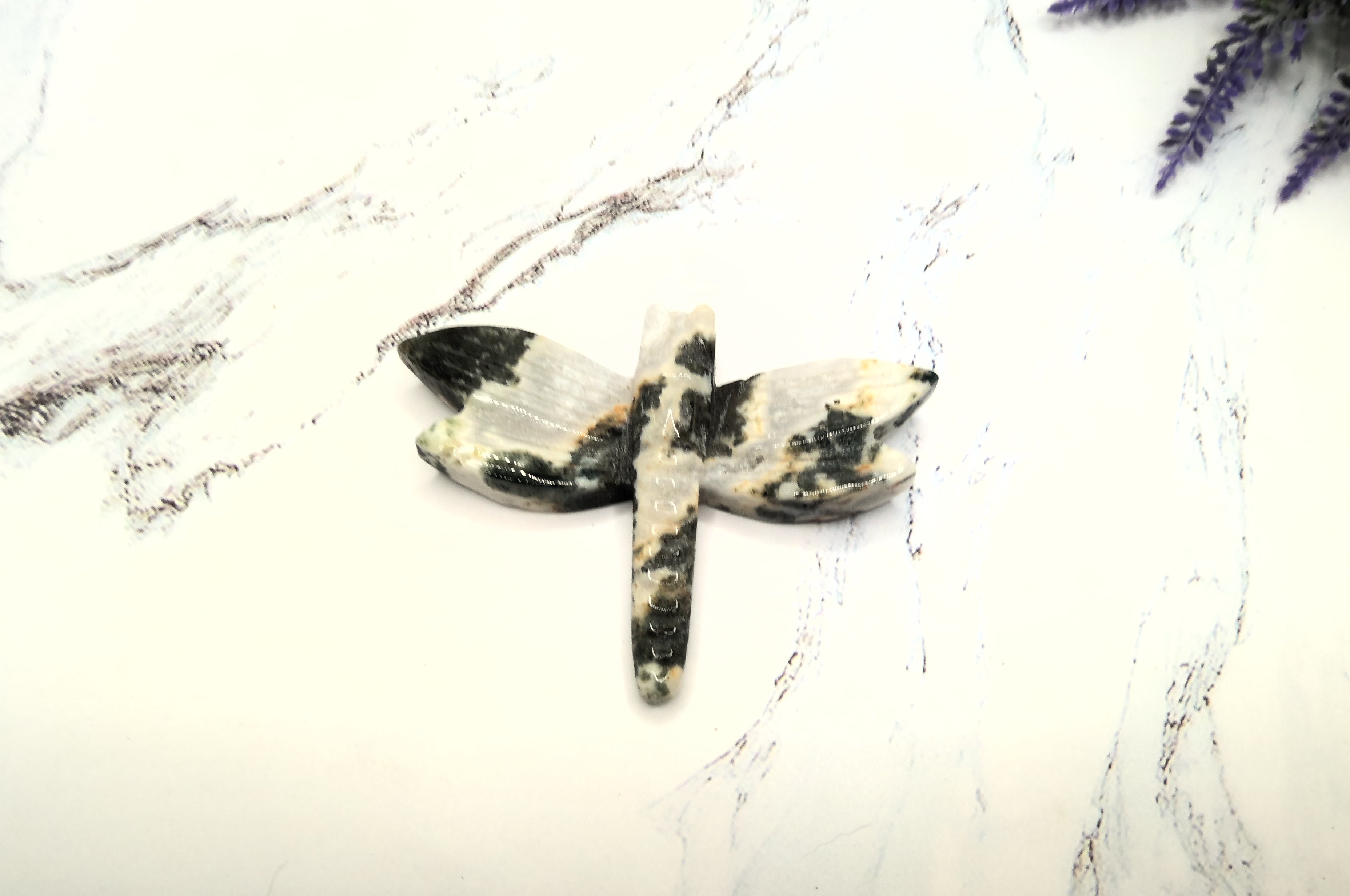 Dragonfly