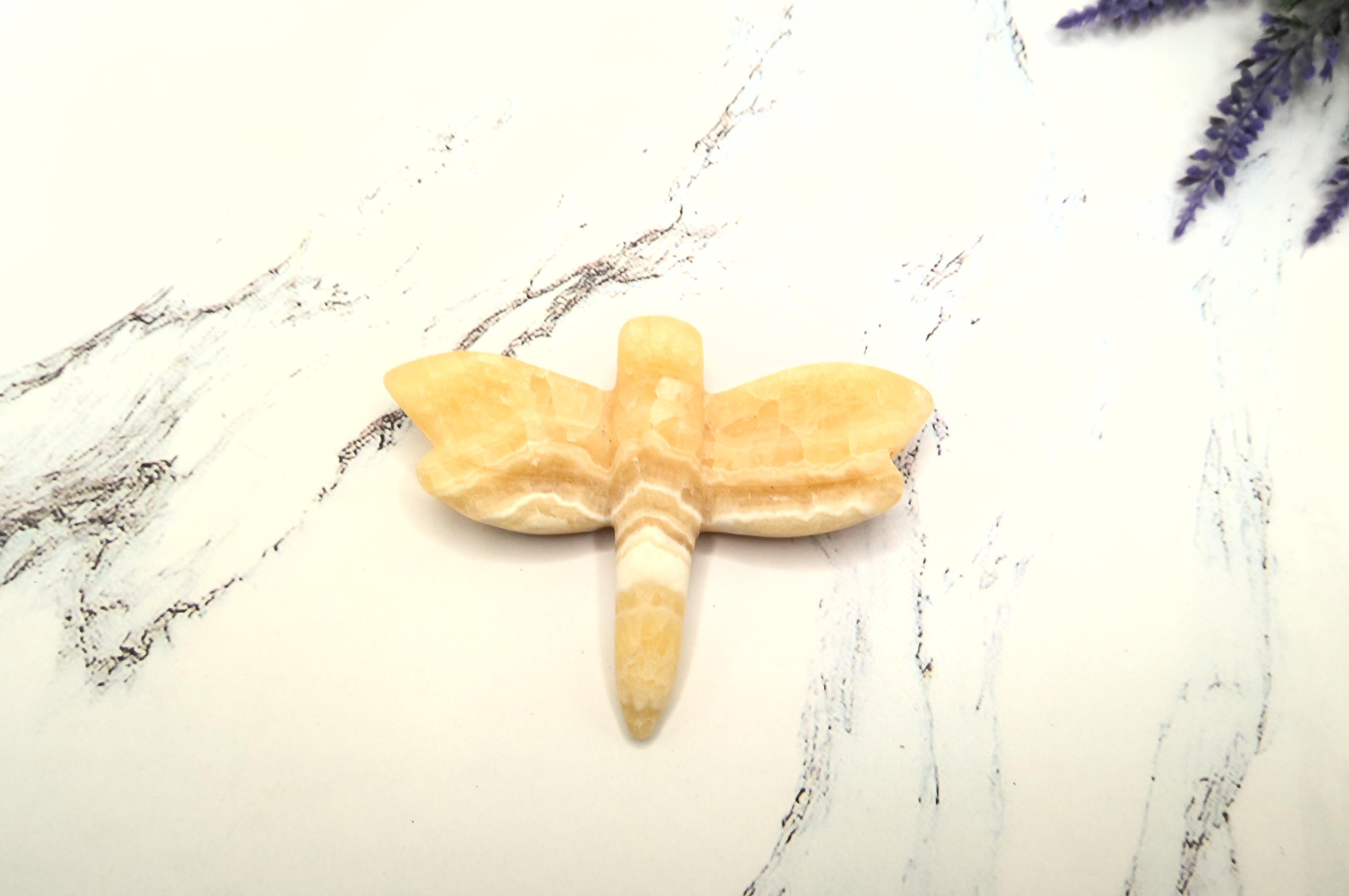 Dragonfly