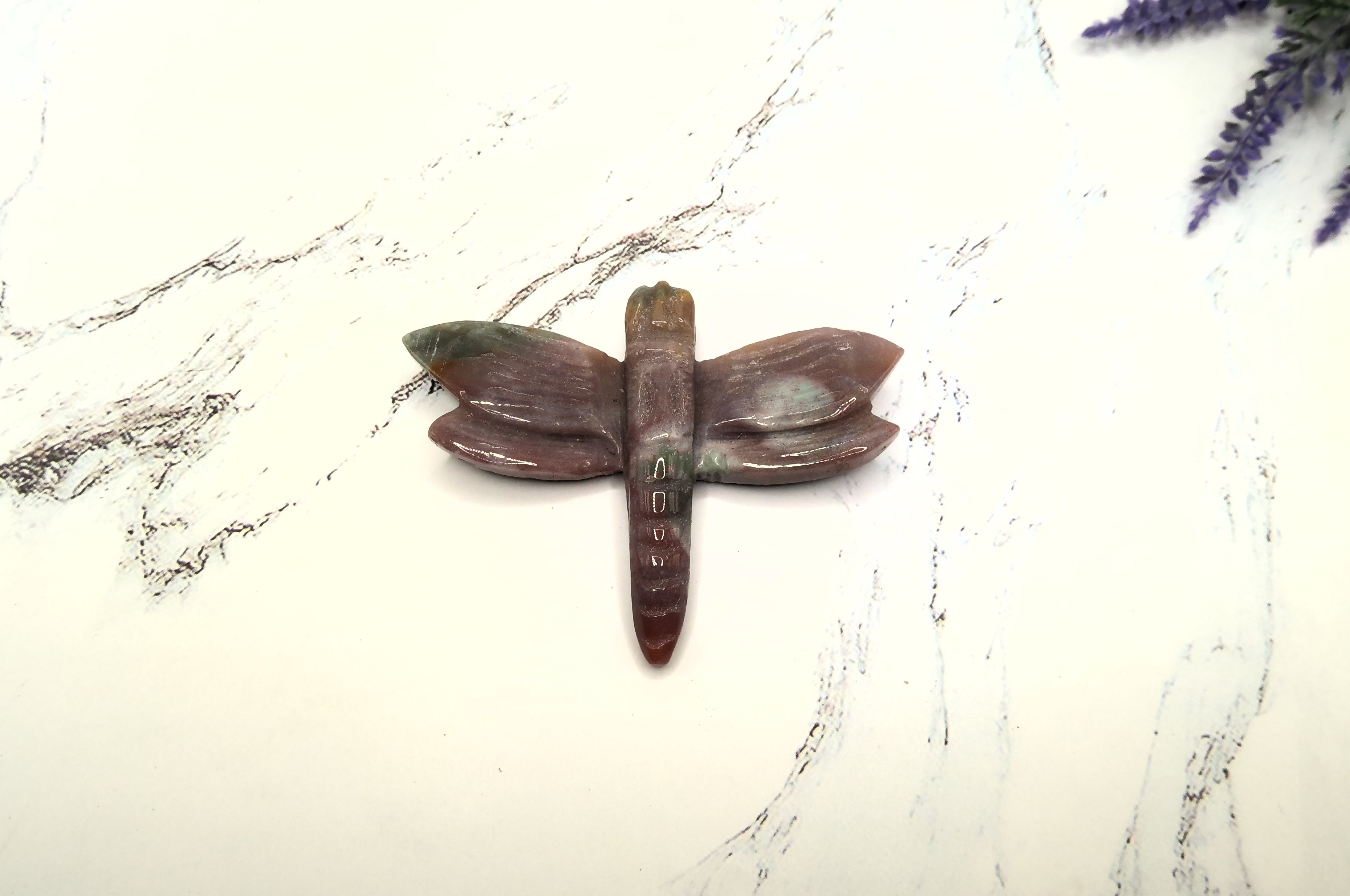 Dragonfly