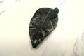 Leaf