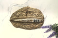 Fossil
