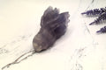 Dragon Head